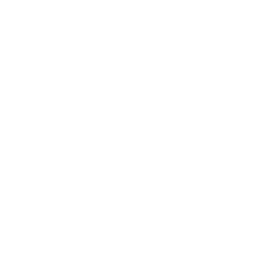 Reign Brand